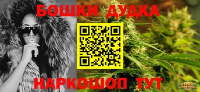 спиды Шебекино