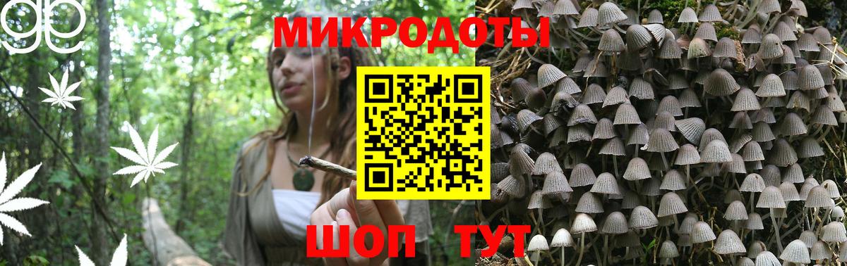 Рязань  Галлюциногенные грибы прущие грибы  Вход с VPN  Псилоцибиновые грибы мухоморы 